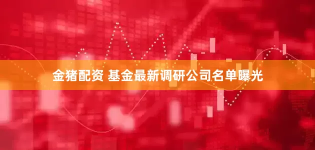 金猪配资 基金最新调研公司名单曝光