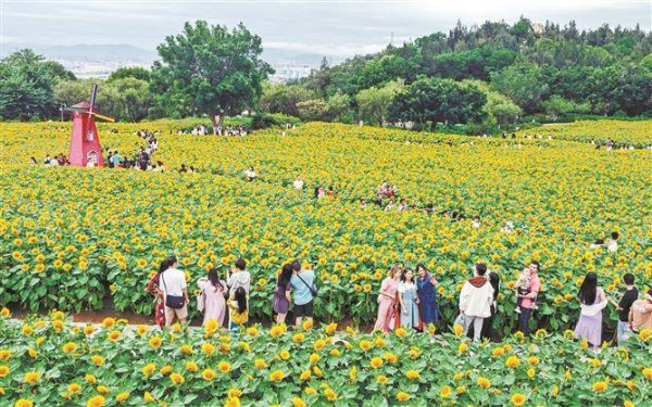 天宇配资 乐游 文旅玩法上新