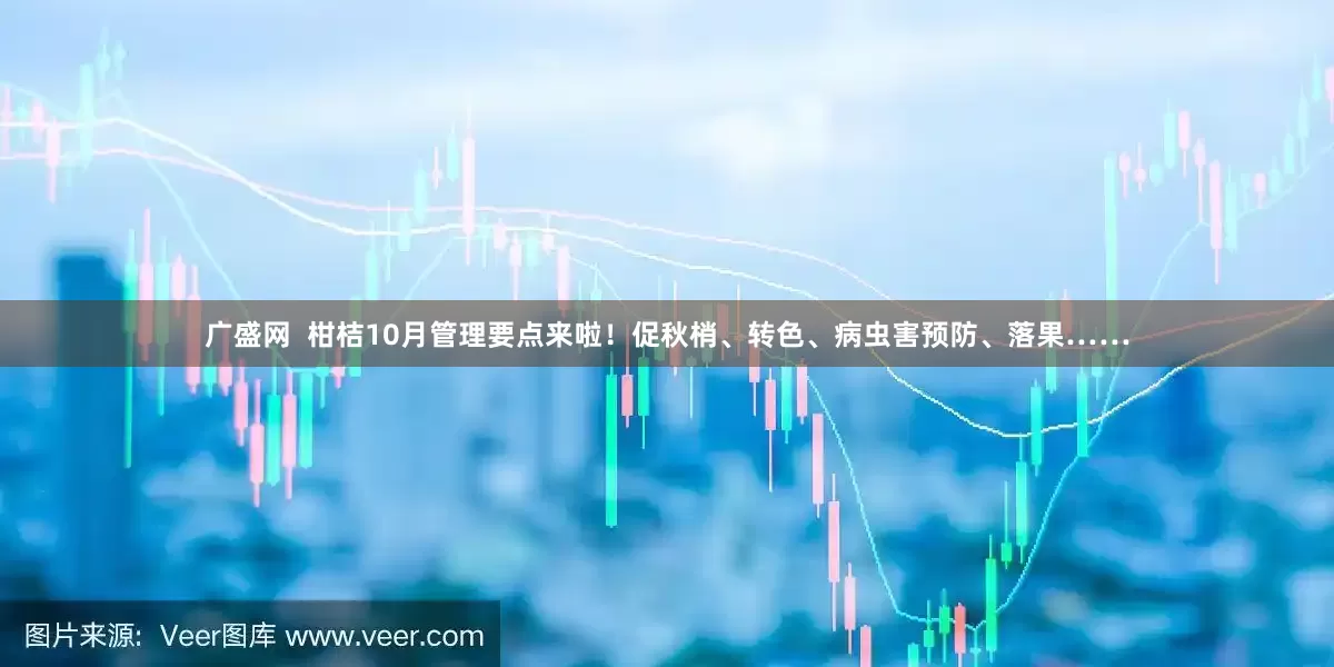 广盛网  柑桔10月管理要点来啦！促秋梢、转色、病虫害预防、落果……